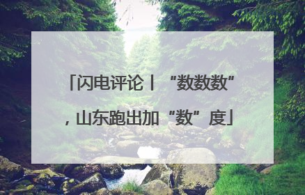 闪电评论丨“数数数”，山东跑出加“数”度