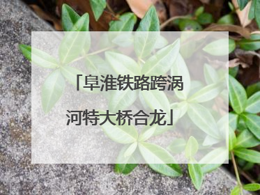 阜淮铁路跨涡河特大桥合龙