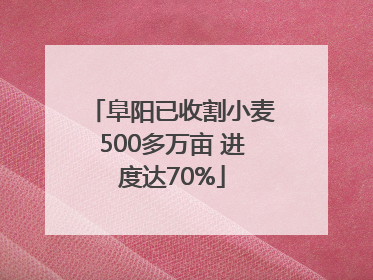 阜阳已收割小麦500多万亩 进度达70%