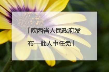 陕西省人民政府发布一批人事任免