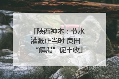 陕西神木：节水灌溉正当时 良田“解渴”促丰收