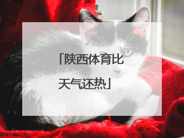 陕西体育比天气还热