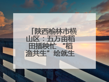 陕西榆林市横山区：五万亩稻田插秧忙 “稻渔共生”绘就生态富民新画卷