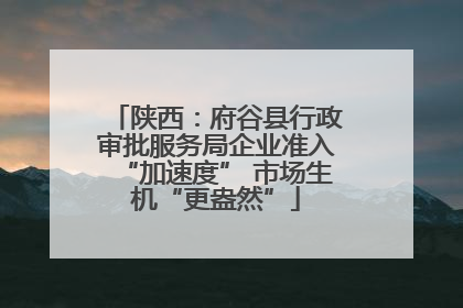 陕西：府谷县行政审批服务局企业准入“加速度” 市场生机“更盎然”