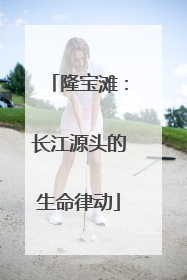 隆宝滩：长江源头的生命律动