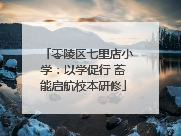 零陵区七里店小学：以学促行 蓄能启航校本研修