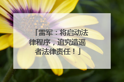 雷军：将启动法律程序，追究造谣者法律责任！