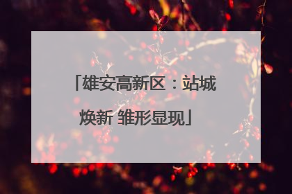 雄安高新区：站城焕新 雏形显现
