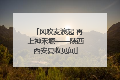 风吹麦浪起 再上神禾塬——陕西西安夏收见闻