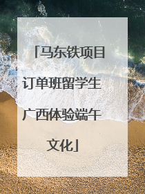 马东铁项目订单班留学生广西体验端午文化