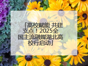 高校赋能 共建支点！2025全国主流融媒湖北高校行启动