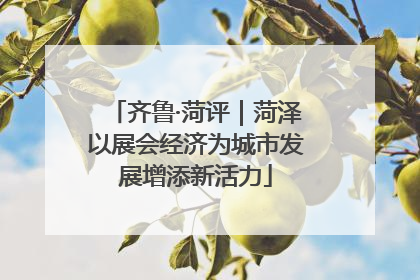 齐鲁·菏评｜菏泽以展会经济为城市发展增添新活力
