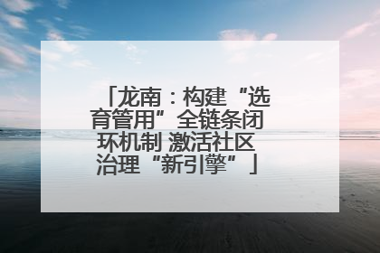 龙南：构建“选育管用”全链条闭环机制 激活社区治理“新引擎”