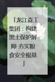 龙江森工集团：构建黑土保护屏障 夯实粮食安全根基