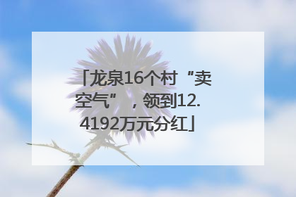 龙泉16个村“卖空气”，领到12.4192万元分红
