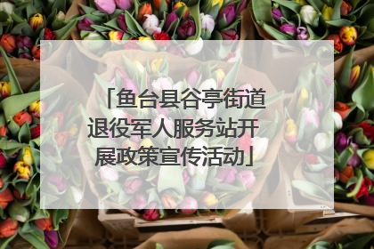 鱼台县谷亭街道退役军人服务站开展政策宣传活动