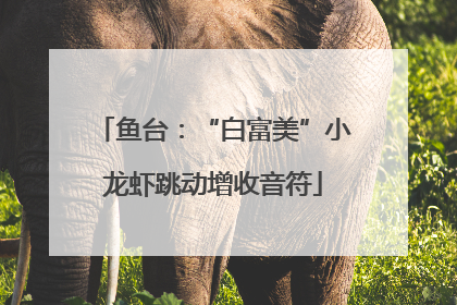 鱼台：“白富美”小龙虾跳动增收音符