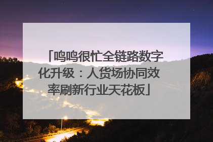 鸣鸣很忙全链路数字化升级：人货场协同效率刷新行业天花板