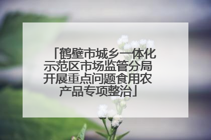 鹤壁市城乡一体化示范区市场监管分局开展重点问题食用农产品专项整治