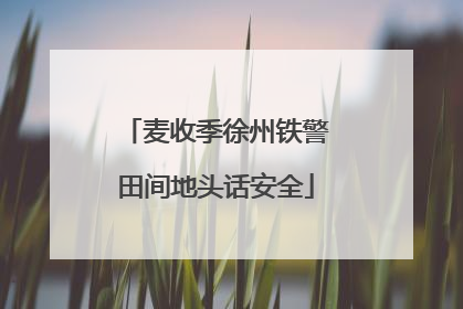麦收季徐州铁警田间地头话安全