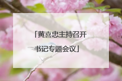 黄喜忠主持召开书记专题会议