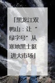 黑龙江双鸭山：让“绿字号”从寒地黑土挺进大市场