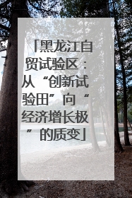 黑龙江自贸试验区：从“创新试验田”向“经济增长极”的质变