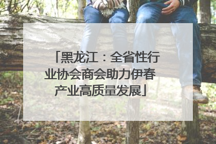黑龙江：全省性行业协会商会助力伊春产业高质量发展