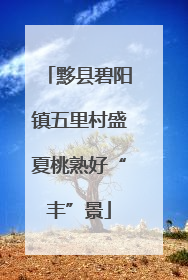 黟县碧阳镇五里村盛夏桃熟好“丰”景