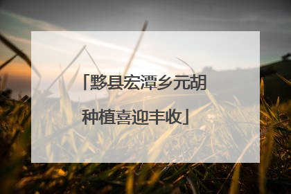 黟县宏潭乡元胡种植喜迎丰收