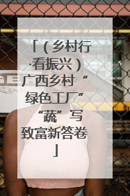 （乡村行·看振兴）广西乡村“绿色工厂” “蔬”写致富新答卷