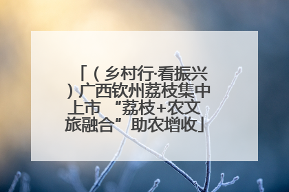 （乡村行·看振兴）广西钦州荔枝集中上市 “荔枝+农文旅融合”助农增收