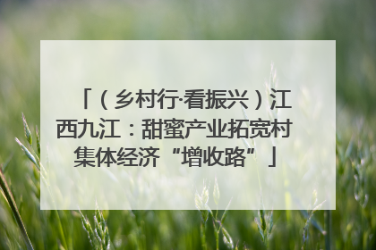 （乡村行·看振兴）江西九江：甜蜜产业拓宽村集体经济“增收路”