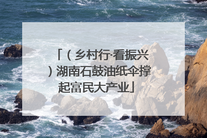 （乡村行·看振兴）湖南石鼓油纸伞撑起富民大产业