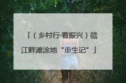 （乡村行·看振兴）赣江畔滩涂地“重生记”