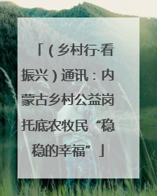 （乡村行·看振兴）通讯：内蒙古乡村公益岗托底农牧民“稳稳的幸福”