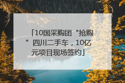 10国采购团“抢购”四川二手车，10亿元项目现场签约