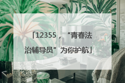 12355，“青春法治辅导员”为你护航