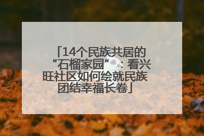14个民族共居的“石榴家园”：看兴旺社区如何绘就民族团结幸福长卷