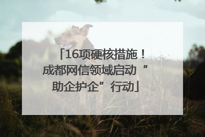 16项硬核措施！成都网信领域启动“助企护企”行动