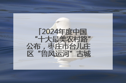2024年度中国“十大最美农村路”公布，枣庄市台儿庄区“鲁风运河”古城文化廊道上榜！