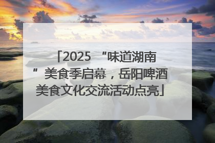 2025 “味道湖南”美食季启幕，岳阳啤酒美食文化交流活动点亮