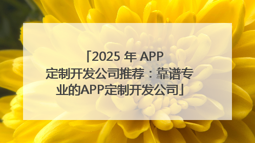 2025 年 APP 定制开发公司推荐：靠谱专业的APP定制开发公司