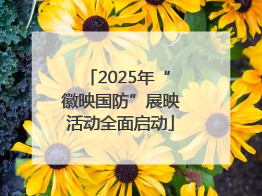 2025年“徽映国防”展映活动全面启动
