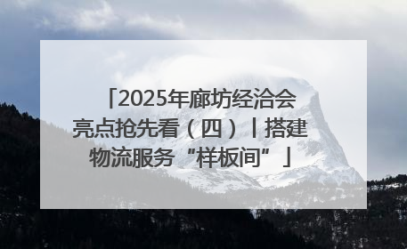 2025年廊坊经洽会亮点抢先看（四）丨搭建物流服务“样板间”