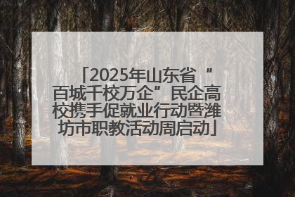 2025年山东省“百城千校万企”民企高校携手促就业行动暨潍坊市职教活动周启动