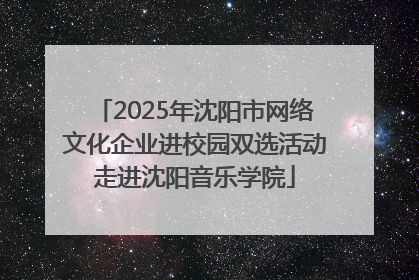 2025年沈阳市网络文化企业进校园双选活动走进沈阳音乐学院