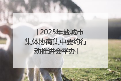 2025年盐城市集体协商集中要约行动推进会举办