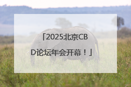 2025北京CBD论坛年会开幕！