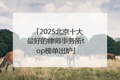 2025北京十大最好的律师事务所top榜单出炉